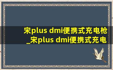 宋plus dmi便携式充电枪_宋plus dmi便携式充电枪推荐